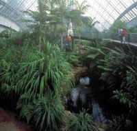 Bicentennial Conservatory - Accommodation Newcastle