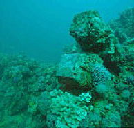 Adelaide's Underwater Heritage Trail - Accommodation Newcastle