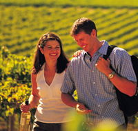 Lady Bay Vineyard - Accommodation Newcastle