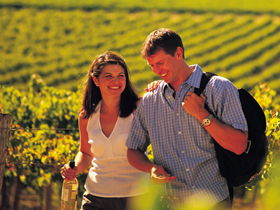 Lady Bay Vineyard - Accommodation Newcastle 0