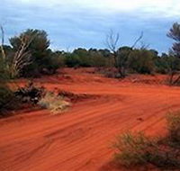 Tallaringa Conservation Park - Accommodation Newcastle