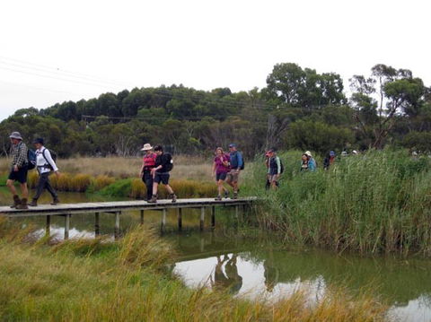 Lavender Federation Trail - Accommodation Newcastle 1