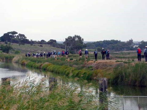 Lavender Federation Trail - Accommodation Newcastle 2