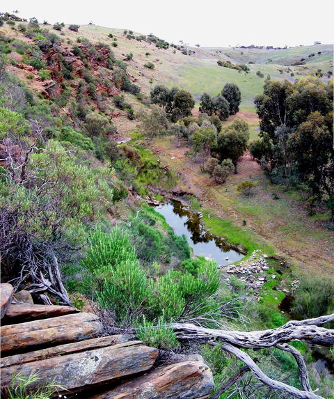 Lavender Federation Trail - Accommodation Newcastle 3
