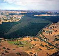 Mount Crawford Forest Reserve - Accommodation Newcastle