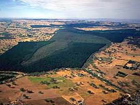 Mount Crawford Forest Reserve - Accommodation Newcastle 0
