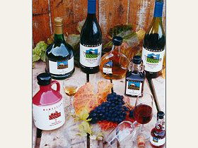 Hartzview Vineyard - Accommodation Newcastle 0