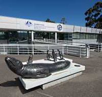 Australia's Antarctic Headquarters - Accommodation Newcastle