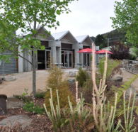 Tin Dragon Interpretation Centre and Cafe - Accommodation Newcastle