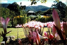 Blueberry Cottage Open Gardens - Accommodation Newcastle 0