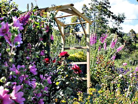 Thelma Retreat Garden And Teahouse - Accommodation Newcastle 0