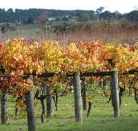 Apsley Gorge Vineyard - Accommodation Newcastle