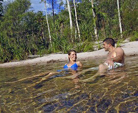 Tjaynera/Sandy Creek Falls - Accommodation Newcastle 0