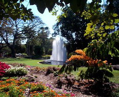 Book Darwin NT Attractions Accommodation Newcastle Accommodation Newcastle