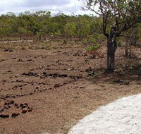 Wurrwurrwuy Garanhan Macassan Beach Interpretive Walk - Accommodation Newcastle