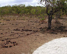 Wurrwurrwuy Garanhan Macassan Beach Interpretive Walk - Accommodation Newcastle 0