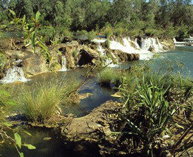 Flora River Nature Park - Accommodation Newcastle 0