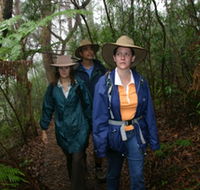 Mount Cougal Springbrook National Park