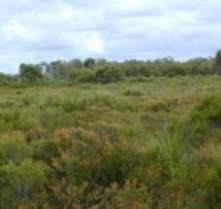 Pine Ridge Conservation Park - Accommodation Newcastle
