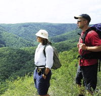 Sunshine Coast Hinterland Great Walk - Accommodation Newcastle