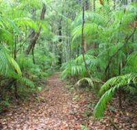 Delicia Road Conservation Park - Accommodation Newcastle