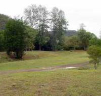 Brooyar State Forest - Accommodation Newcastle