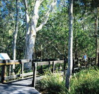 Kinaba Track - Accommodation Newcastle