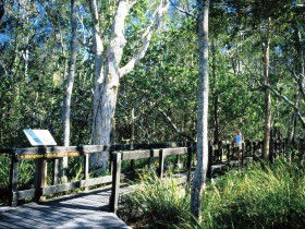 Kinaba Track - Accommodation Newcastle 0
