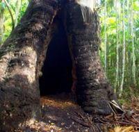 Tewantin National Park - Accommodation Newcastle