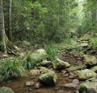 Amamoor State Forest - Accommodation Newcastle