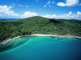 Noosa Heads Coastal Track - Accommodation Newcastle 0