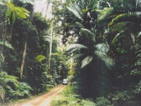 Conondale Great Walk - Accommodation Newcastle 0