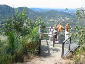 Mapleton Forest Reserve - Accommodation Newcastle 0