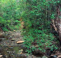 Mudlo National Park - Accommodation Newcastle