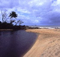 Russell River National Park - Accommodation Newcastle
