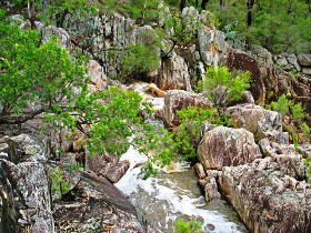 Crows Nest National Park - Accommodation Newcastle 0