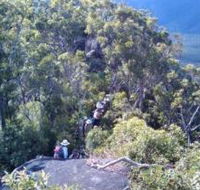 Mia Mia State Forest - Accommodation Newcastle