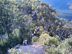 Mia Mia State Forest - Accommodation Newcastle 0
