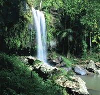 Curtis Falls Joalah Section - Accommodation Newcastle