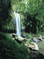 Book Tamborine QLD Attractions Accommodation Newcastle Accommodation Newcastle