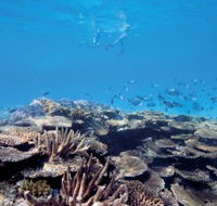 Australian Institute of Marine Science - Accommodation Newcastle