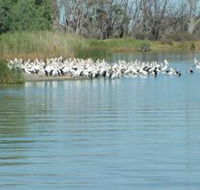 Lake Ross - Accommodation Newcastle