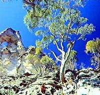 Mount Moffatt Section - Carnarvon National Park - Accommodation Newcastle