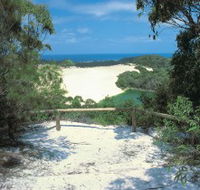 Lake Wabby Track - Accommodation Newcastle
