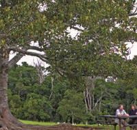 Ravensbourne National Park - Accommodation Newcastle