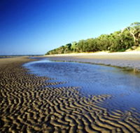 Kinkuna Section - Accommodation Newcastle
