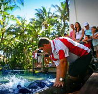The Living Reef on Daydream Island - Accommodation Newcastle