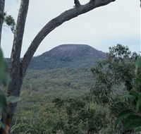 Mount Fox - Accommodation Newcastle