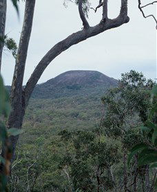 Mount Fox - Accommodation Newcastle 0