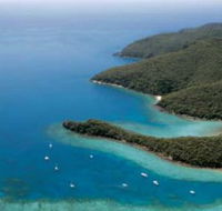 Butterfly Bay - Hook Island - Accommodation Newcastle